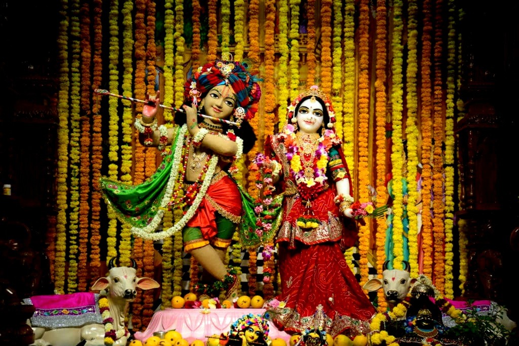 Gallery Image 2